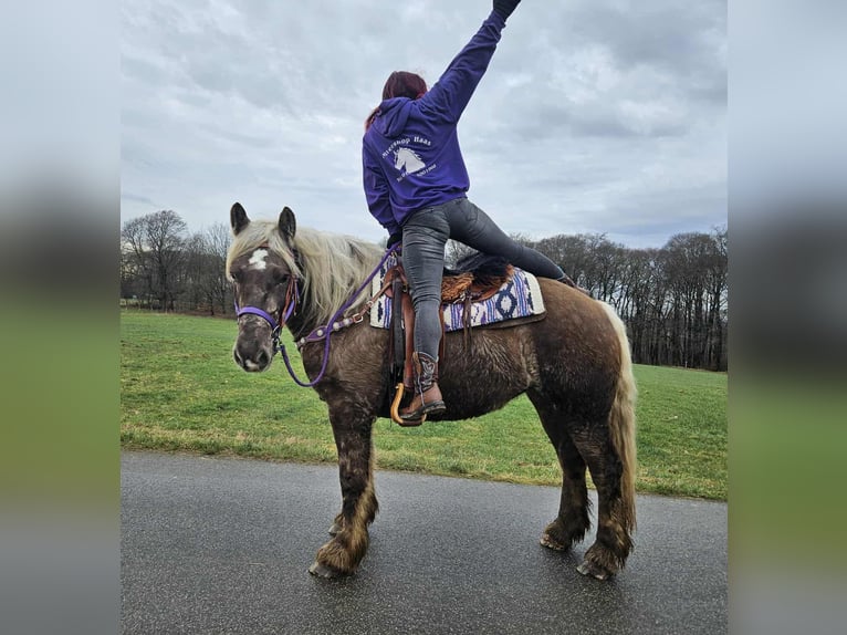 Más caballos de sangre fría Caballo castrado 4 años 156 cm Alazán-tostado in Linkenbach