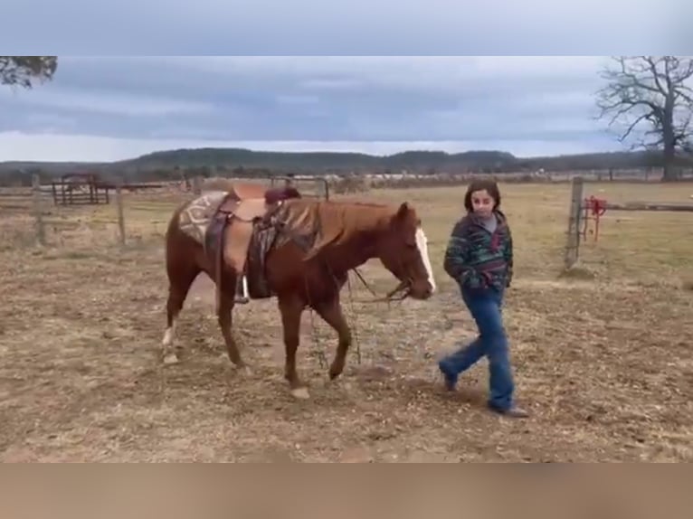 Más ponis/caballos pequeños Caballo castrado 11 años 130 cm Alazán rojizo in Watson, OK