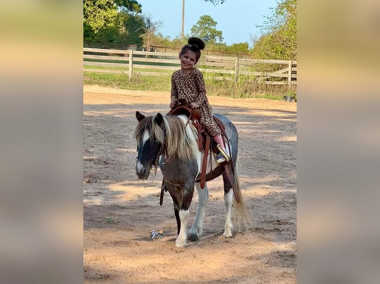 Más ponis/caballos pequeños Caballo castrado 13 años 117 cm in Elkhart, TX