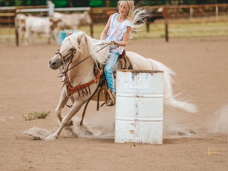 Más ponis/caballos pequeños Caballo castrado 13 años 132 cm Palomino in Weatherford, TX