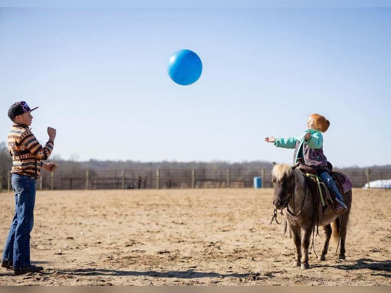 Más ponis/caballos pequeños Caballo castrado 3 años 81 cm Palomino in Auburn, KY