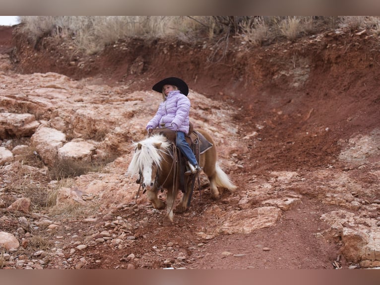 Más ponis/caballos pequeños Caballo castrado 6 años 91 cm Alazán-tostado in Canyon