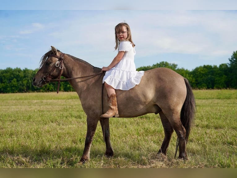 Más ponis/caballos pequeños Caballo castrado 8 años 97 cm Grullo in Valley Springs, SD