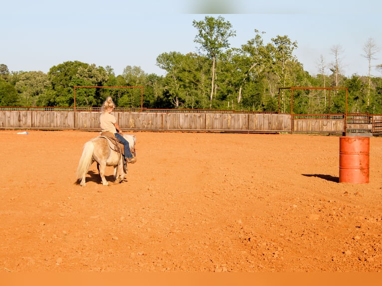 Más ponis/caballos pequeños Caballo castrado 9 años 94 cm in Rusk, TX