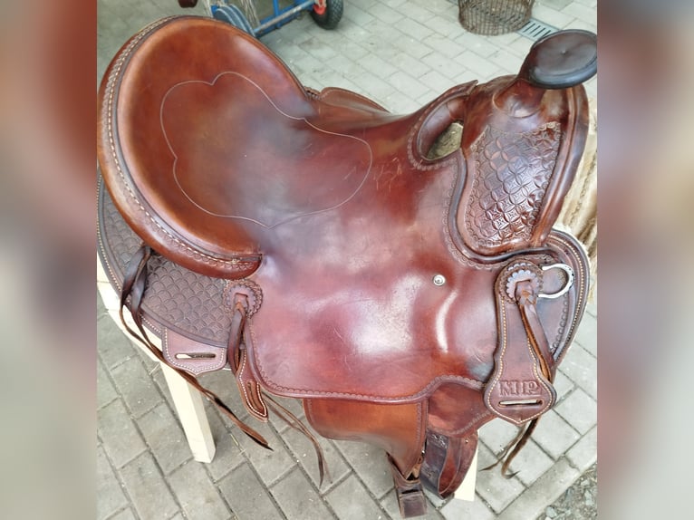 Más ponis/caballos pequeños Mestizo Caballo castrado 17 años 142 cm Pío in Gefell