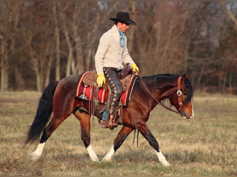 Más ponis/caballos pequeños Caballo castrado 5 años 142 cm Pío in Baxter Springs