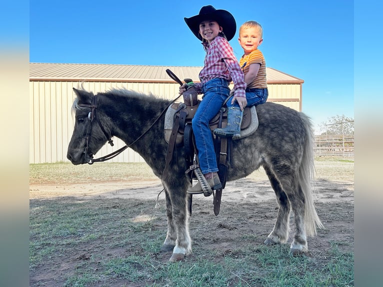 Más ponis/caballos pequeños Caballo castrado 6 años 102 cm in Weatherford