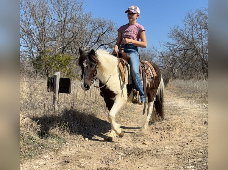 Más ponis/caballos pequeños Caballo castrado 6 años 122 cm Pío in Cleburne