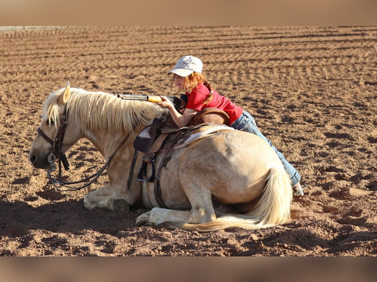 Más ponis/caballos pequeños Caballo castrado 6 años Palomino in Edgewood