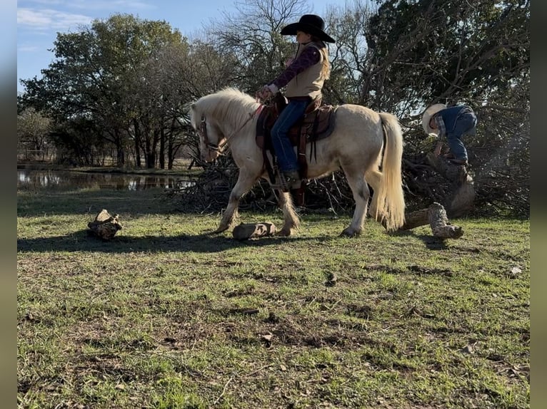 Más ponis/caballos pequeños Caballo castrado 7 años 97 cm Pío in Weatherford