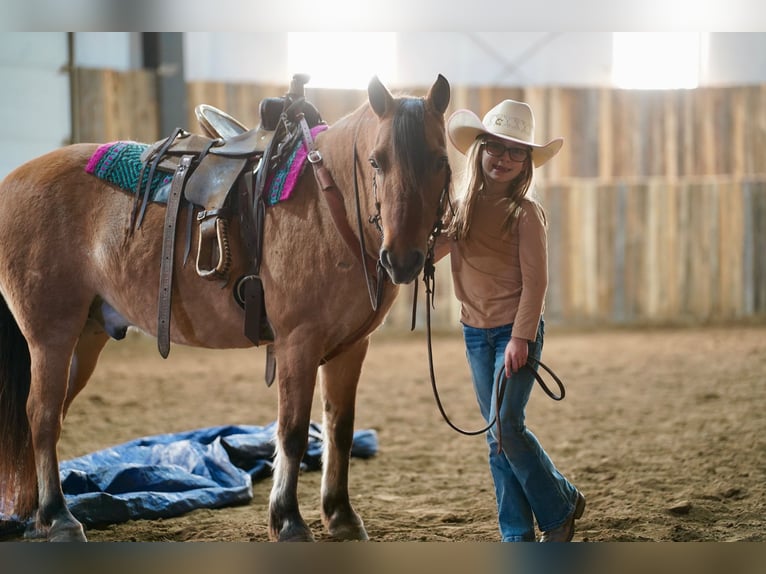Más ponis/caballos pequeños Caballo castrado 9 años 130 cm Bayo in Corsica