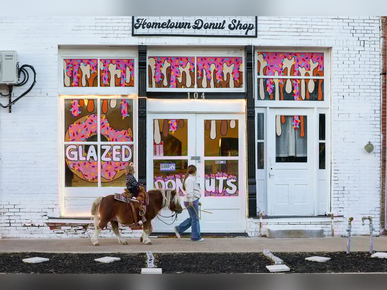 Más ponis/caballos pequeños Caballo castrado 9 años 86 cm Pío in Forney