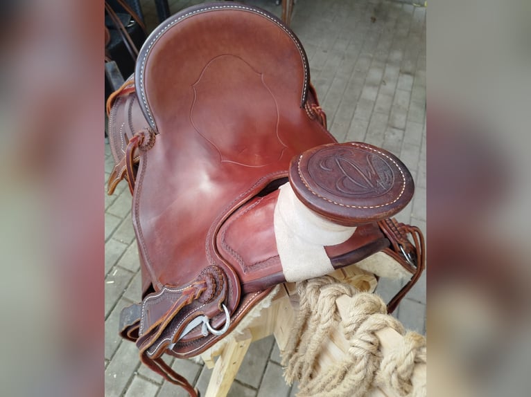 Más ponis/caballos pequeños Mestizo Yegua 13 años 142 cm Morcillo in GefellGefell