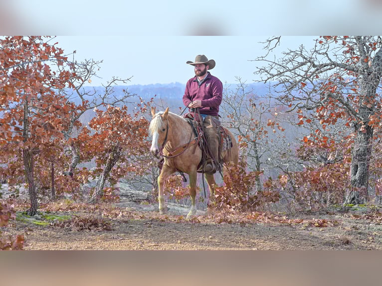 Más ponis/caballos pequeños Yegua 4 años 135 cm Palomino in Weaubleau