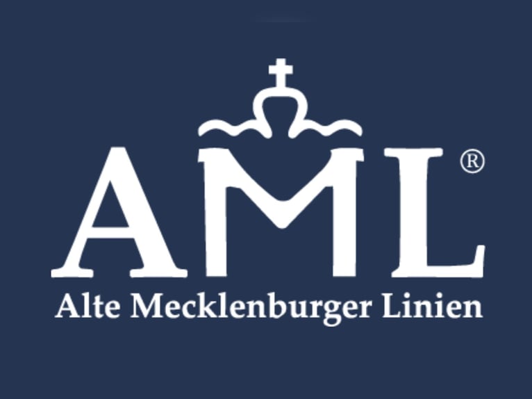 Mecklenburger Warmblut Hengst 2 Jahre Rappe in Malchin