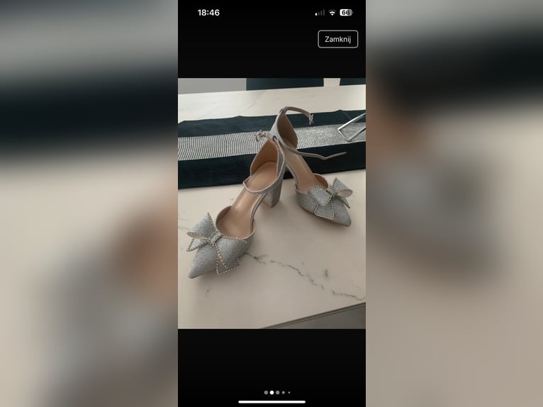 Media sangre polaco Caballo castrado 7 años Castaño in Piekło Dolne