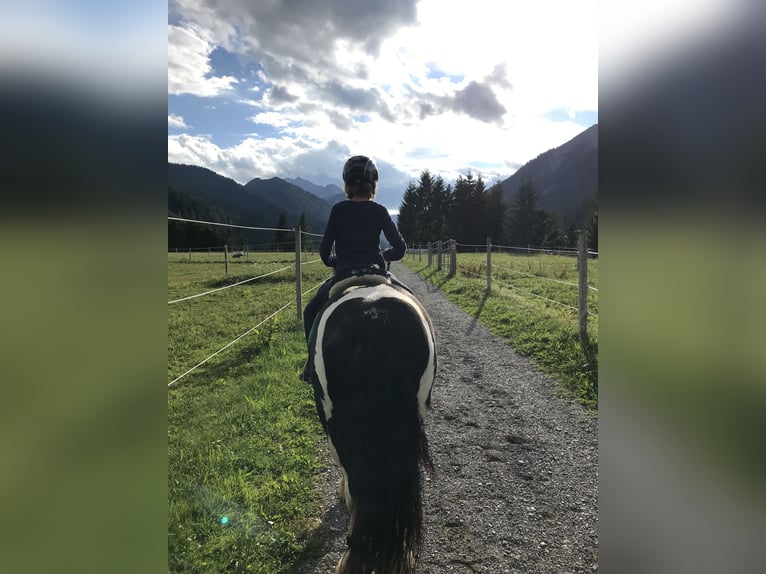 Meer ponys/kleine paarden Merrie 11 Jaar 125 cm Gevlekt-paard in Nesselwängle