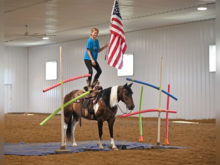 Meer ponys/kleine paarden Merrie 13 Jaar 132 cm Tobiano-alle-kleuren in Hastings, MN