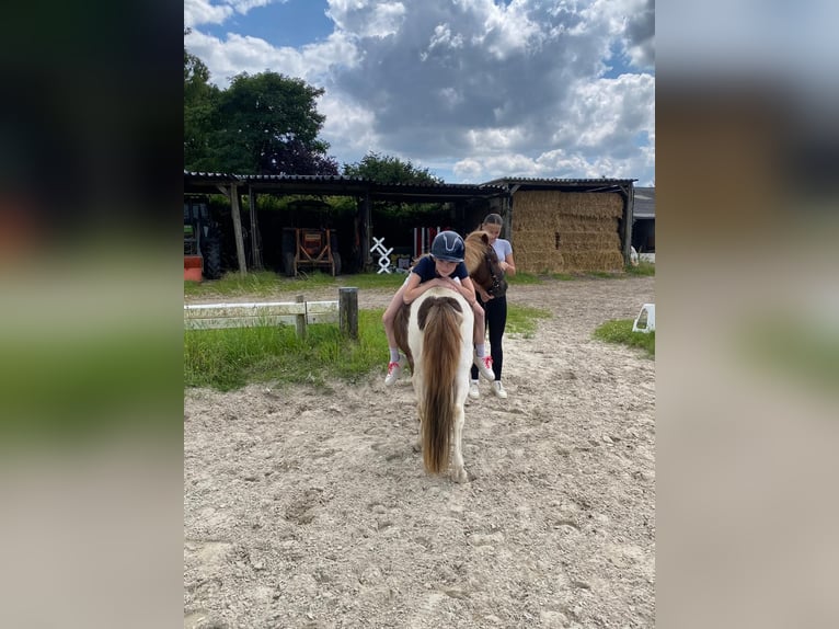 Meer ponys/kleine paarden Merrie 15 Jaar 125 cm Gevlekt-paard in Krefeld