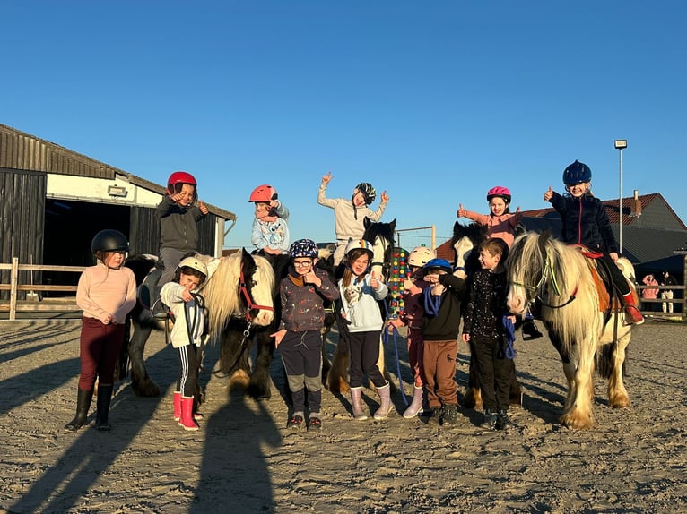 Meer ponys/kleine paarden Merrie 4 Jaar 130 cm Overo-alle-kleuren in Bogaarden