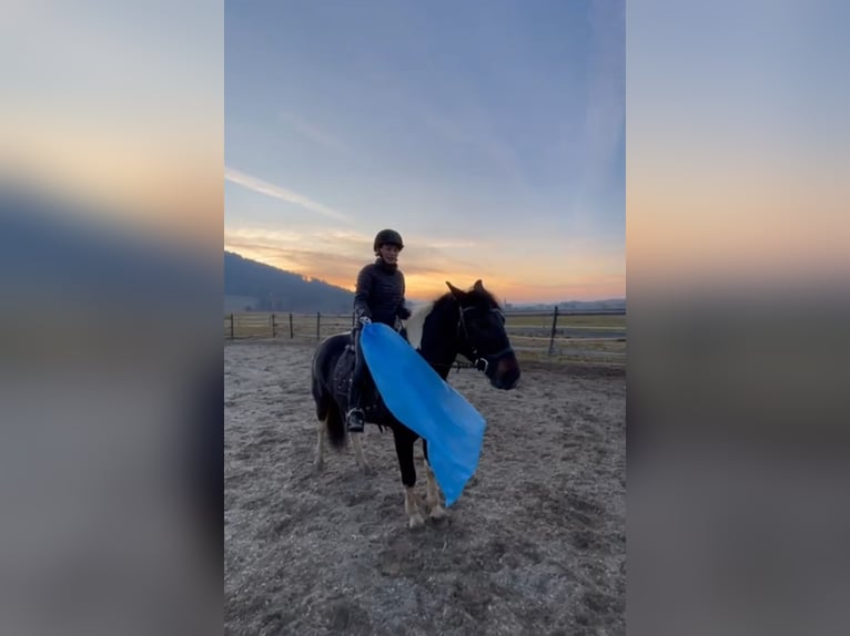 Meer ponys/kleine paarden Merrie 4 Jaar 140 cm Gevlekt-paard in Stra&#xDF;walchen