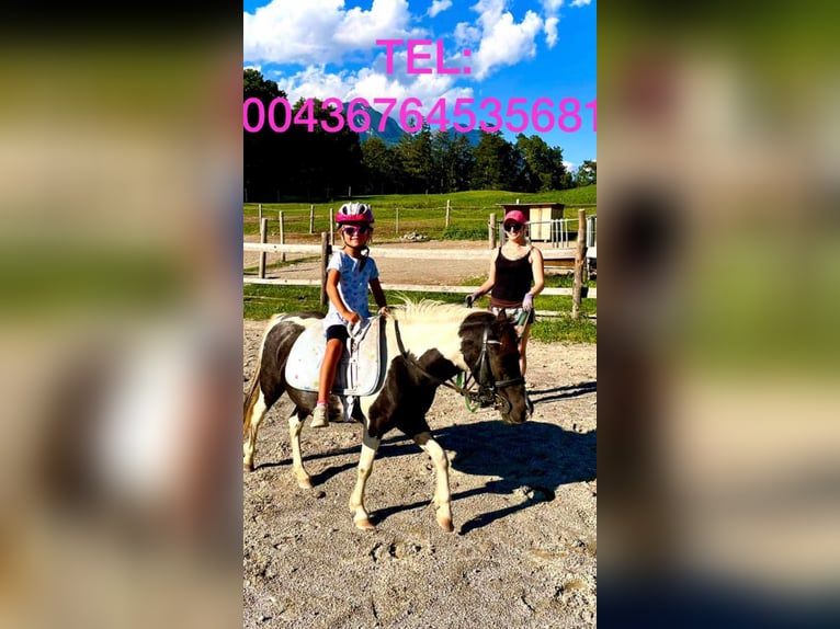 Meer ponys/kleine paarden Mix Merrie 8 Jaar 110 cm Gevlekt-paard in Gallzein