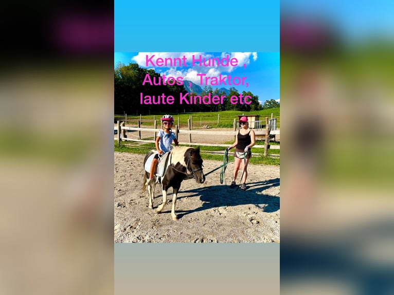 Meer ponys/kleine paarden Mix Merrie 8 Jaar 110 cm Gevlekt-paard in Gallzein