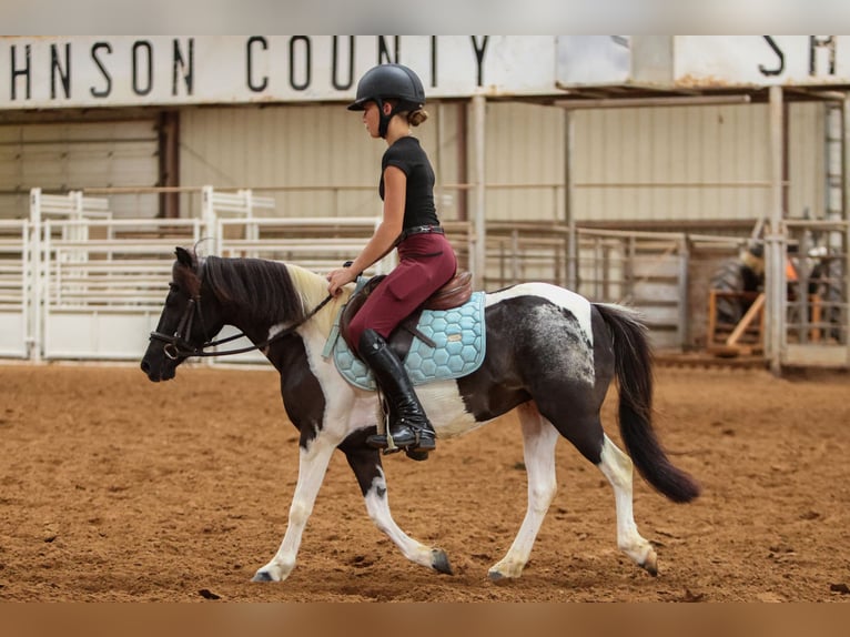 Meer ponys/kleine paarden Merrie 6 Jaar 112 cm in Weatherford, TX