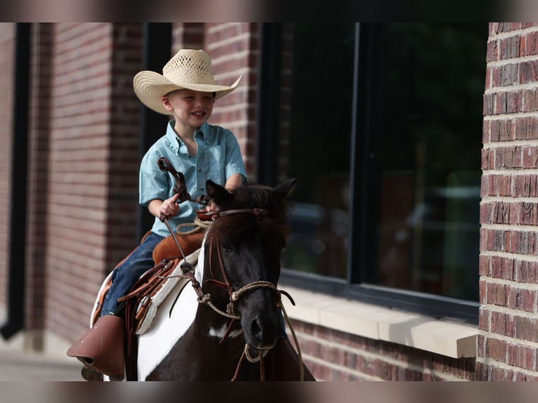 Meer ponys/kleine paarden Merrie 6 Jaar 112 cm in Weatherford, TX