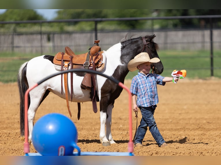 Meer ponys/kleine paarden Merrie 6 Jaar 112 cm in Weatherford, TX