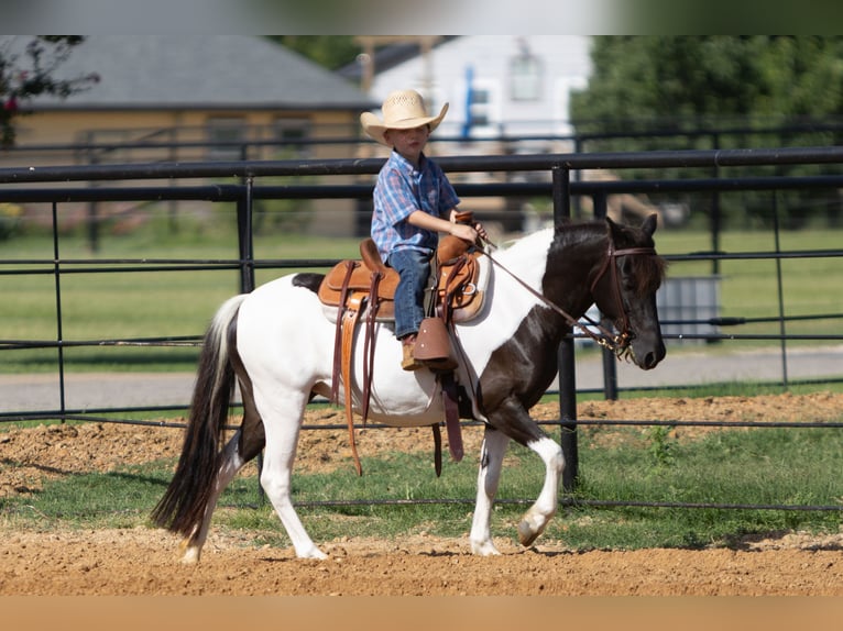 Meer ponys/kleine paarden Merrie 6 Jaar 112 cm in Weatherford, TX