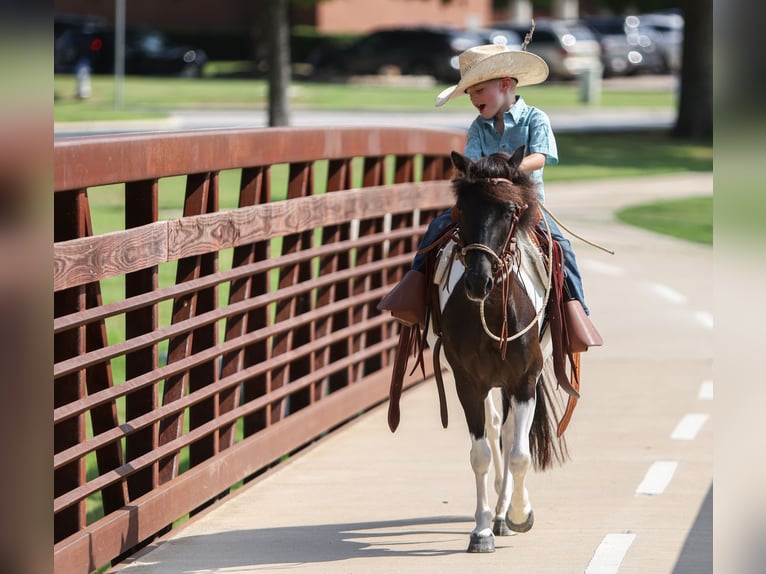Meer ponys/kleine paarden Merrie 6 Jaar 112 cm in Weatherford, TX