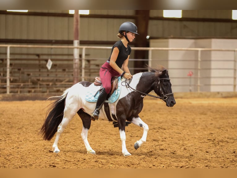 Meer ponys/kleine paarden Merrie 6 Jaar 112 cm in Weatherford, TX