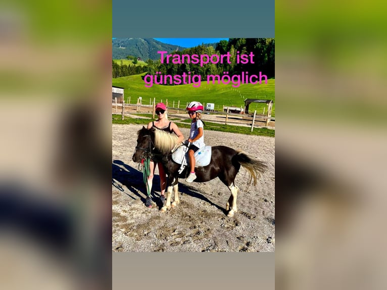 Meer ponys/kleine paarden Mix Merrie 9 Jaar 110 cm Gevlekt-paard in Gallzein