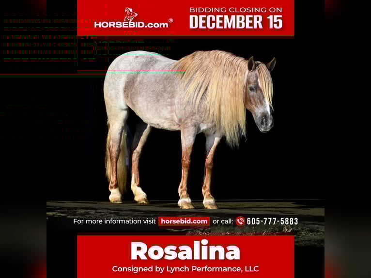 Meer ponys/kleine paarden Merrie 9 Jaar 117 cm Roan-Red in Canistota