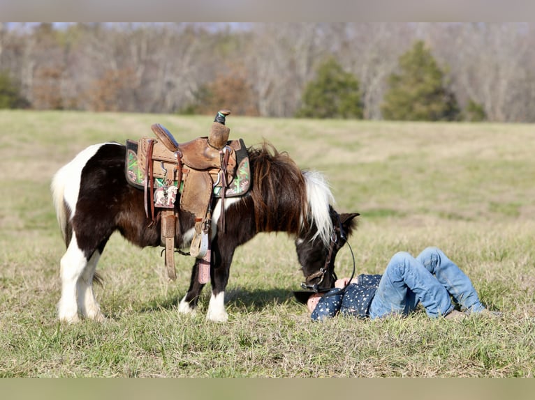 Meer ponys/kleine paarden Ruin 11 Jaar 91 cm Gevlekt-paard in Mount Vernon