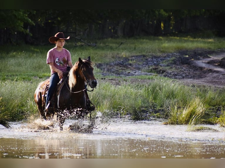 Meer ponys/kleine paarden Ruin 12 Jaar Gevlekt-paard in Grandview