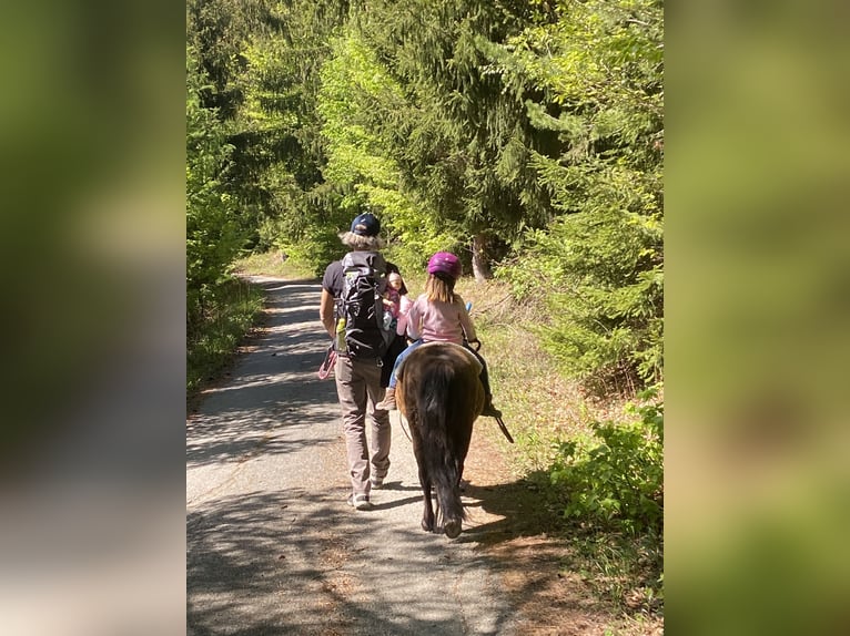 Meer ponys/kleine paarden Ruin 14 Jaar 105 cm Bruin in Frohsdorf