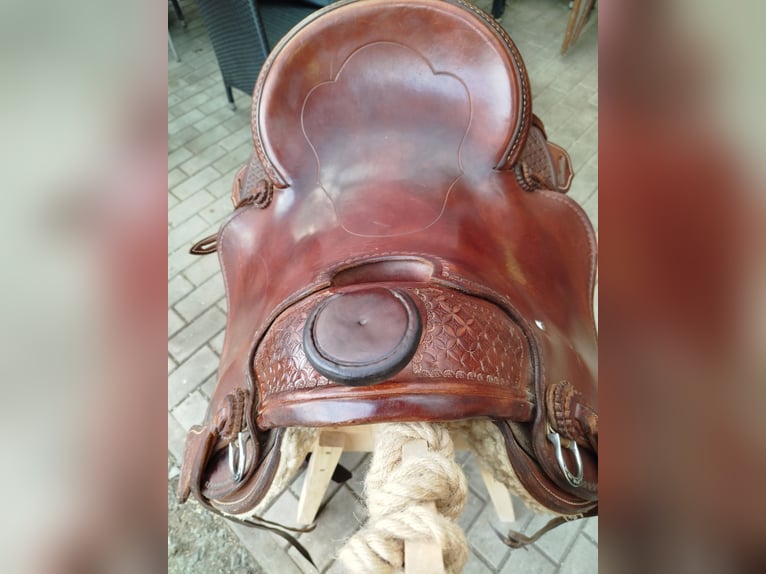 Meer ponys/kleine paarden Mix Ruin 17 Jaar 142 cm Gevlekt-paard in Gefell