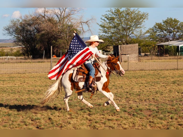 Meer ponys/kleine paarden Ruin 4 Jaar 107 cm Gevlekt-paard in Edgewood