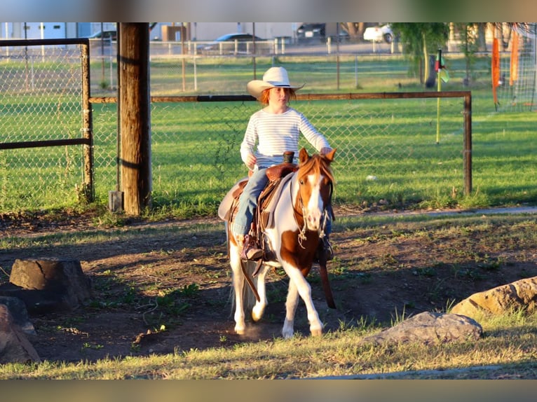 Meer ponys/kleine paarden Ruin 4 Jaar 107 cm Gevlekt-paard in Edgewood