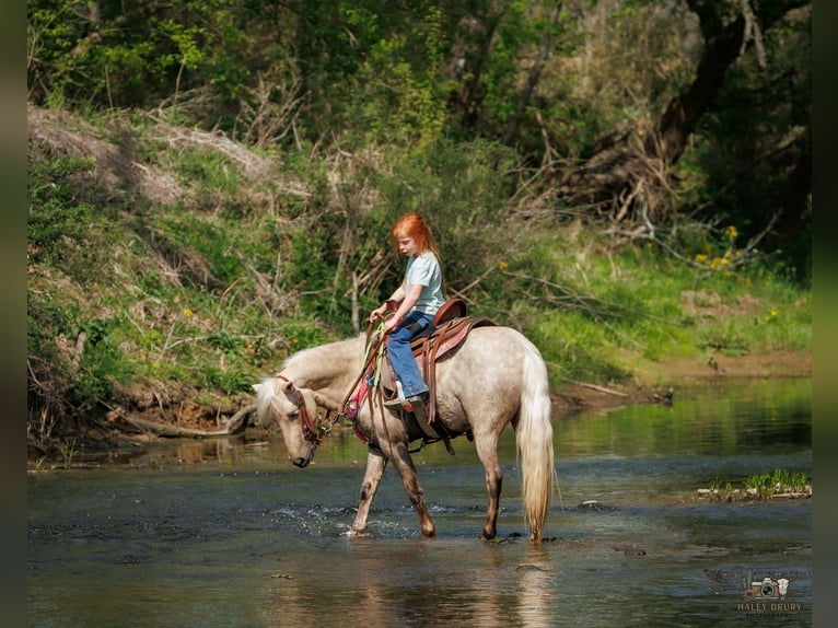Meer ponys/kleine paarden Ruin 4 Jaar 114 cm Palomino in Auburn