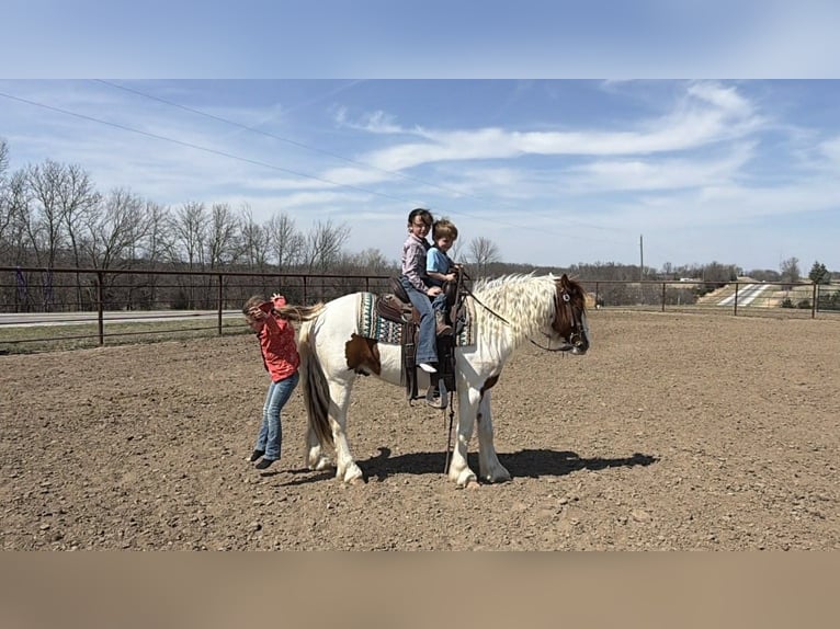 Meer ponys/kleine paarden Ruin 4 Jaar 137 cm Gevlekt-paard in Princeton