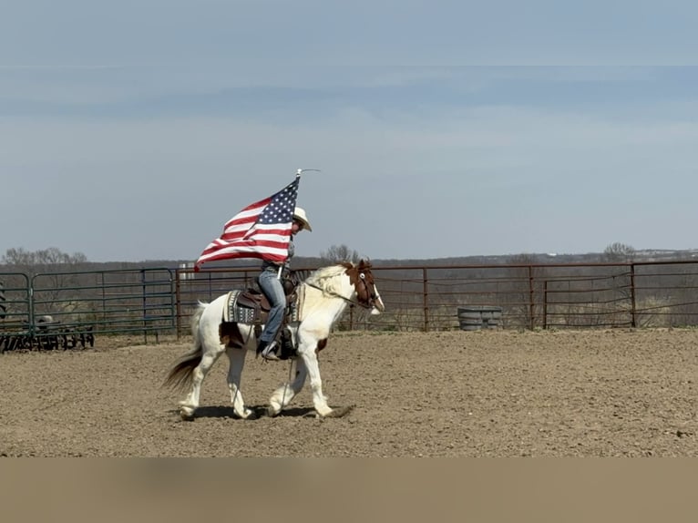 Meer ponys/kleine paarden Ruin 4 Jaar 137 cm Gevlekt-paard in Princeton