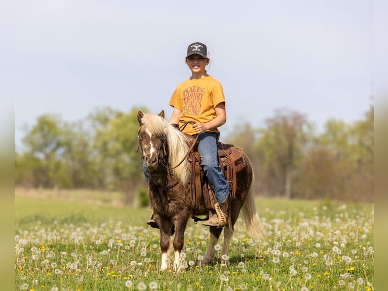 Meer ponys/kleine paarden Ruin 4 Jaar 89 cm Gevlekt-paard in Ewing