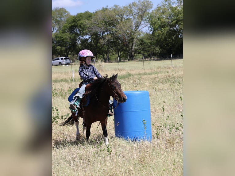Meer ponys/kleine paarden Ruin 5 Jaar 102 cm Gevlekt-paard in Weatherford