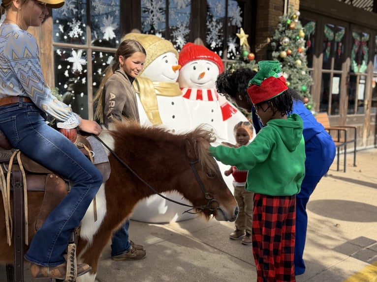 Meer ponys/kleine paarden Ruin 6 Jaar 102 cm Gevlekt-paard in Cleburne