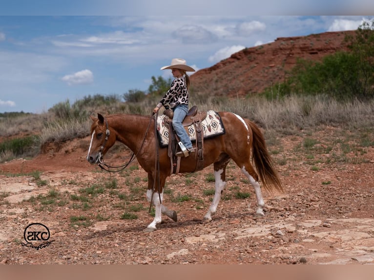 Meer ponys/kleine paarden Ruin 8 Jaar 142 cm Gevlekt-paard in Canyon