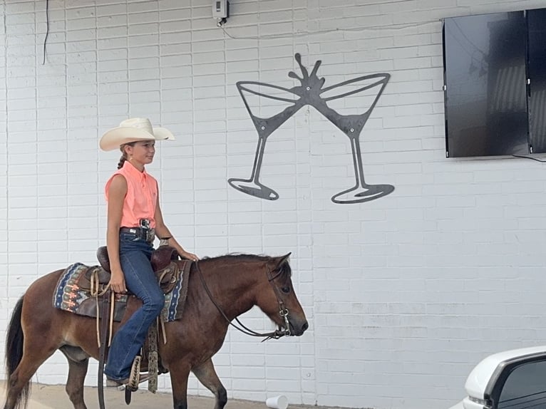 Meer ponys/kleine paarden Ruin 8 Jaar 97 cm Roodbruin in Cleburne