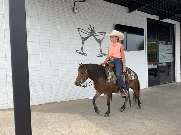 Meer ponys/kleine paarden Ruin 8 Jaar 97 cm Roodbruin in Cleburne